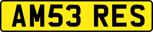 AM53RES