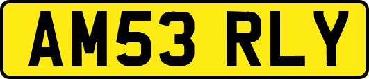 AM53RLY