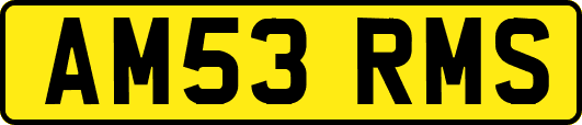 AM53RMS