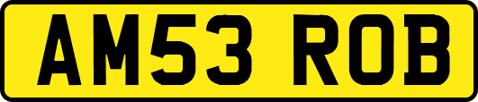 AM53ROB