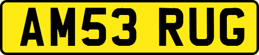 AM53RUG