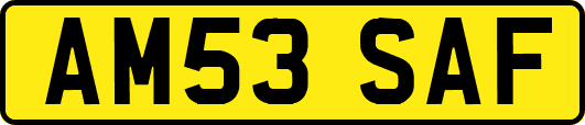 AM53SAF