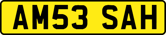 AM53SAH