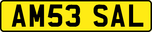 AM53SAL