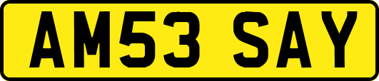 AM53SAY