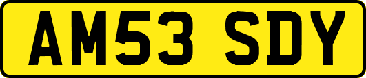 AM53SDY