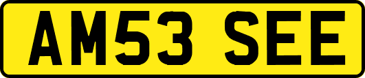 AM53SEE
