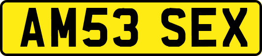 AM53SEX