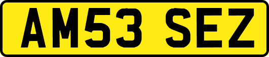 AM53SEZ