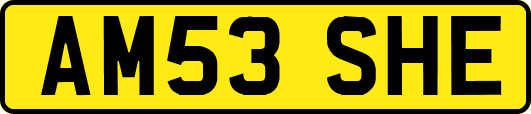 AM53SHE