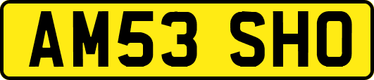 AM53SHO