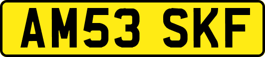 AM53SKF