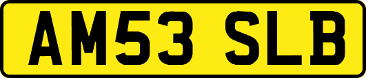 AM53SLB