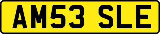 AM53SLE
