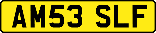 AM53SLF