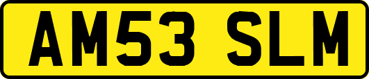 AM53SLM