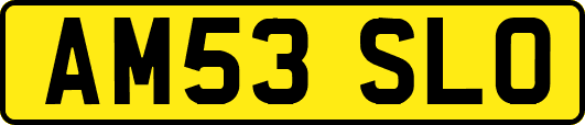 AM53SLO