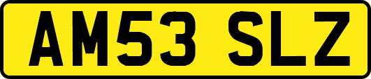 AM53SLZ
