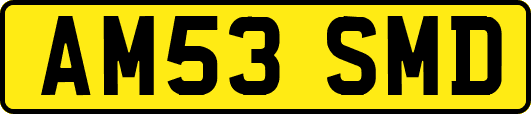 AM53SMD