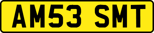 AM53SMT