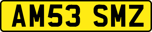 AM53SMZ