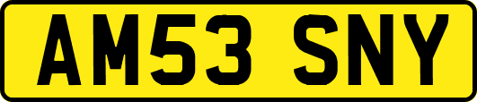 AM53SNY