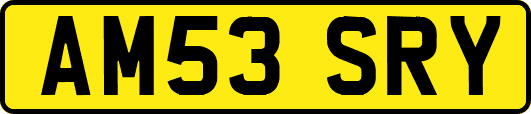 AM53SRY