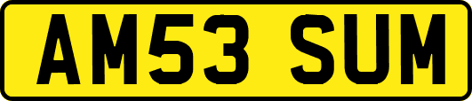 AM53SUM
