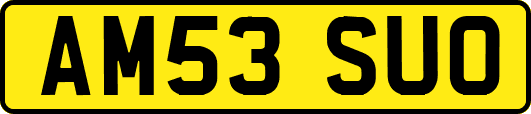 AM53SUO
