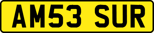 AM53SUR