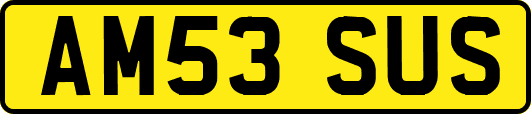 AM53SUS