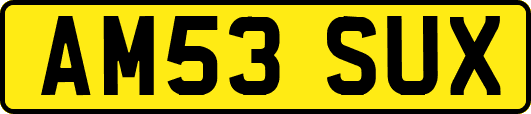 AM53SUX