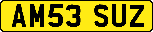 AM53SUZ