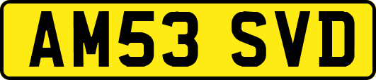 AM53SVD