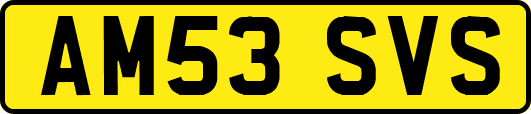 AM53SVS