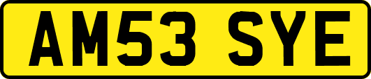 AM53SYE