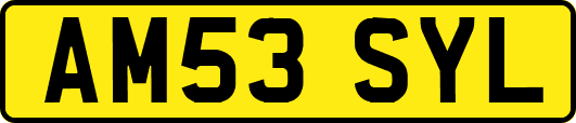 AM53SYL