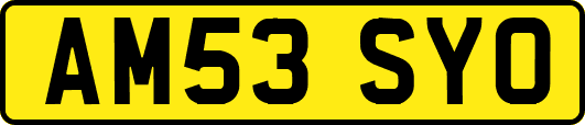 AM53SYO