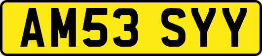 AM53SYY