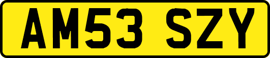 AM53SZY