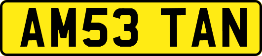 AM53TAN