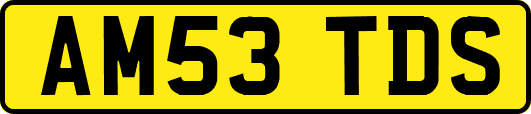 AM53TDS