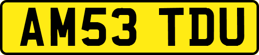 AM53TDU