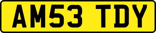 AM53TDY