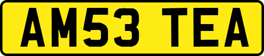 AM53TEA