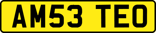 AM53TEO
