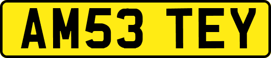 AM53TEY