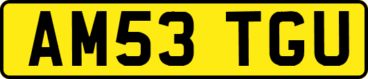 AM53TGU