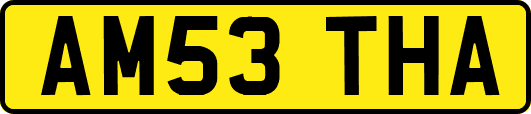 AM53THA