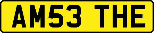 AM53THE